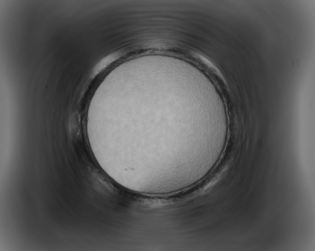 X0000083570970200703021742