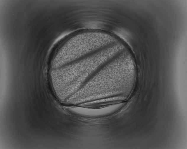 X0000083570971200703021742