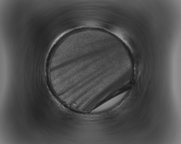 X0000083570972200703021742