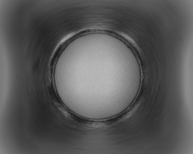 X0000083570974200703021742