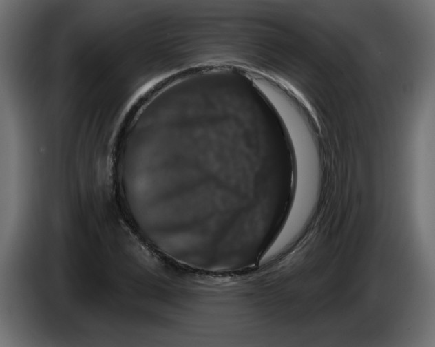 X0000083570975200703021742