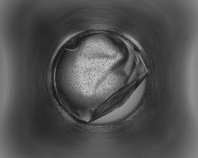 X0000083570976200703021742
