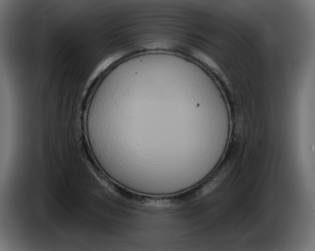 X0000083570978200703021742