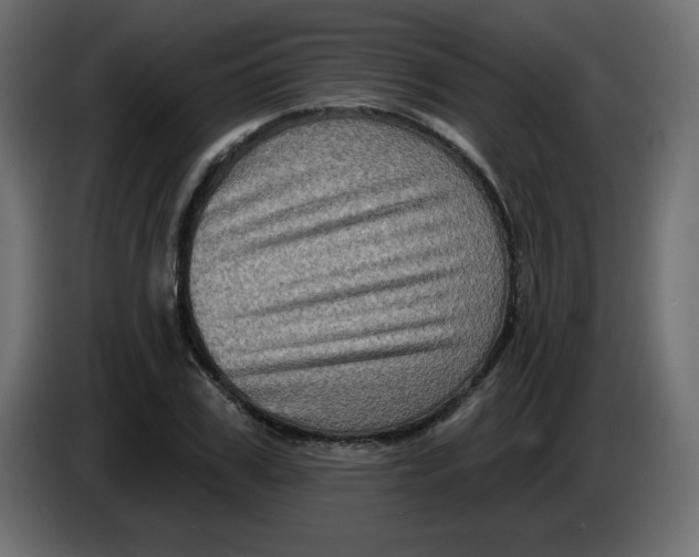 X0000083570979200703021742