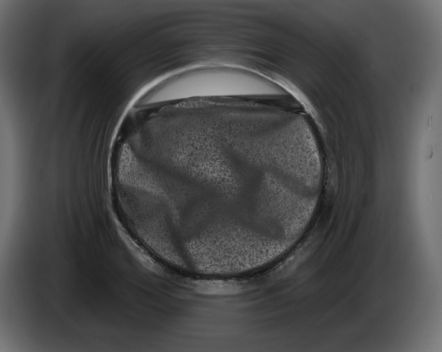X0000083570980200703021742