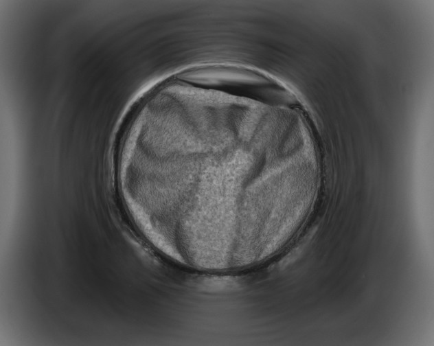 X0000083570982200703021742