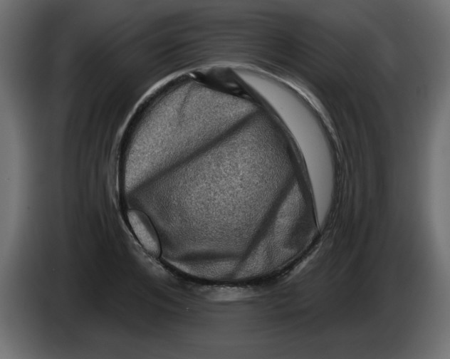 X0000083570984200703021742
