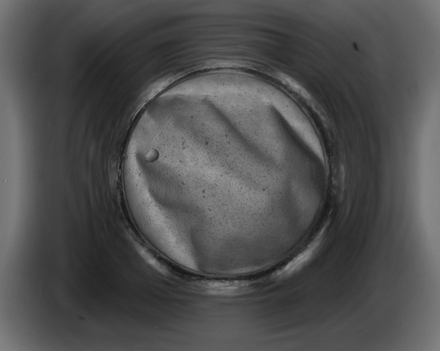 X0000083570985200703021742