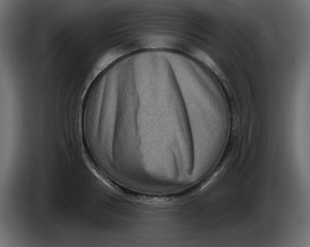 X0000083570986200703021742