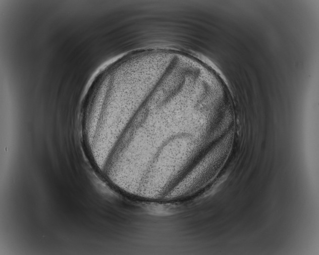 X0000083570987200703021742