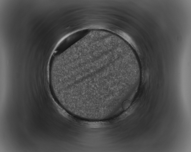 X0000083570988200703021742