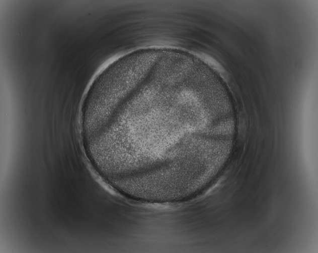X0000083570990200703021742