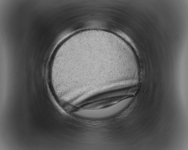 X0000083570991200703021742