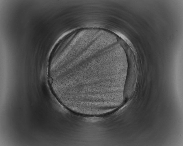 X0000083570992200703021742