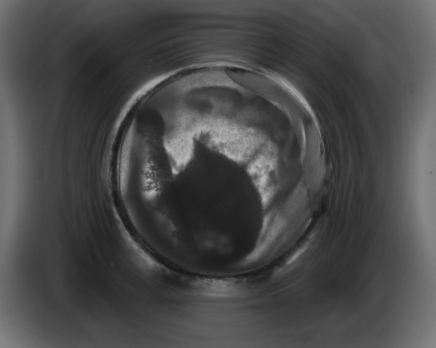 X0000083570995200703021742