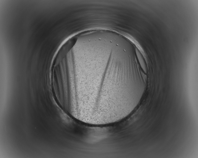 X0000083570996200703021742