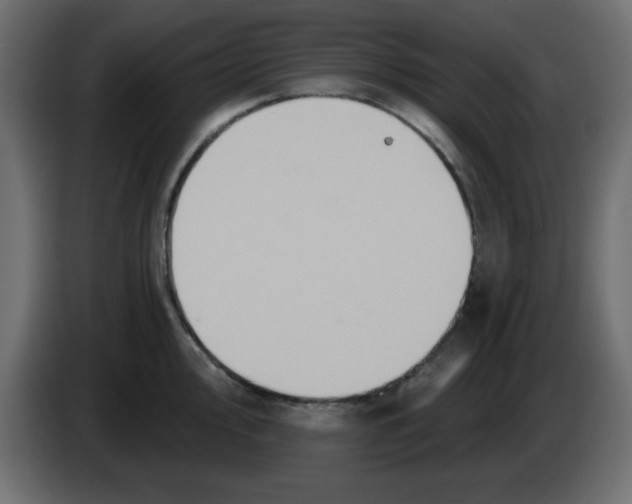 X0000083571000200703021742