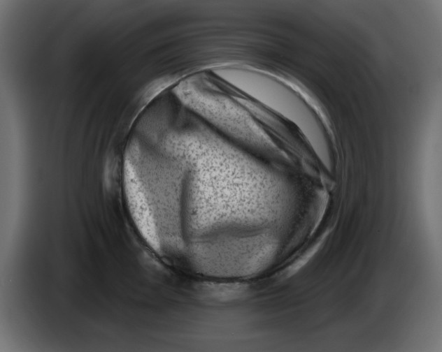 X0000083571001200703021742