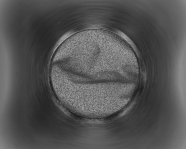 X0000083571002200703021742