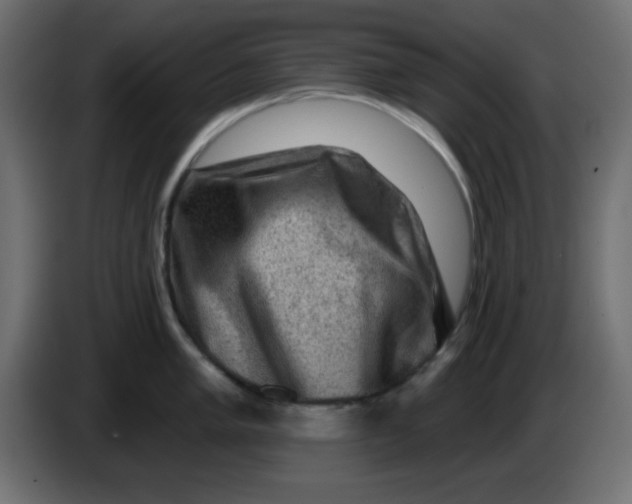 X0000083571005200703021742