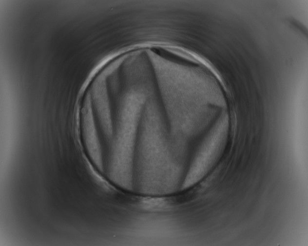 X0000083571006200703021742