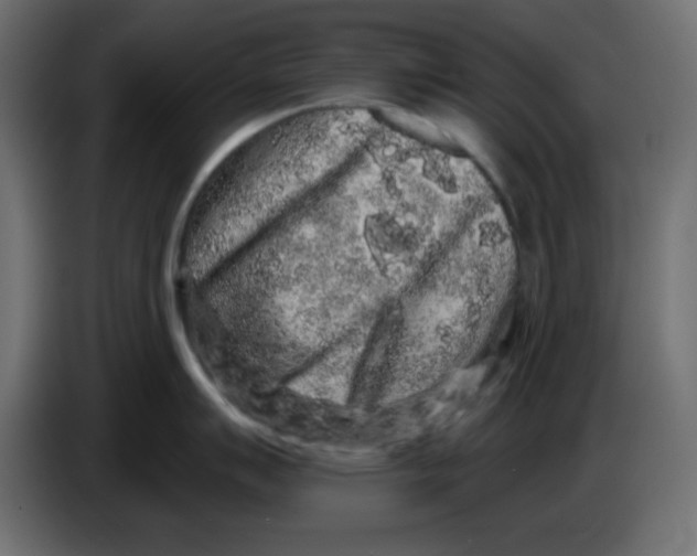 X0000083571007200703021742