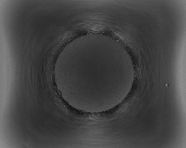 X0000083571009200703021741