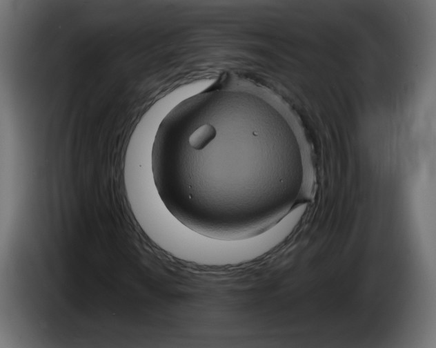 X0000083571010200703021741