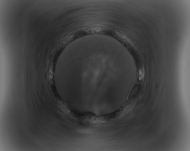X0000083571011200703021741