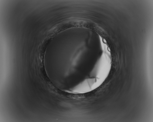 X0000083571013200703021741
