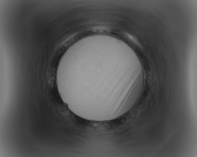 X0000083571015200703021741