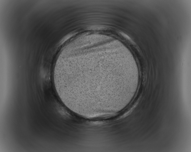 X0000083571017200703021741
