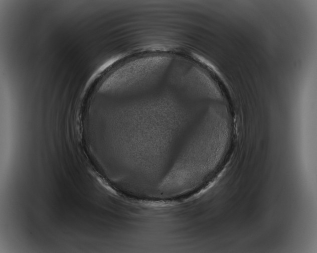 X0000083571018200703021741