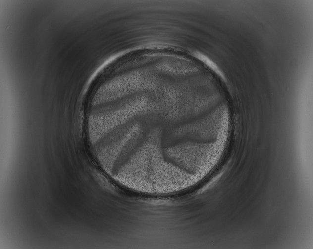 X0000083571021200703021741