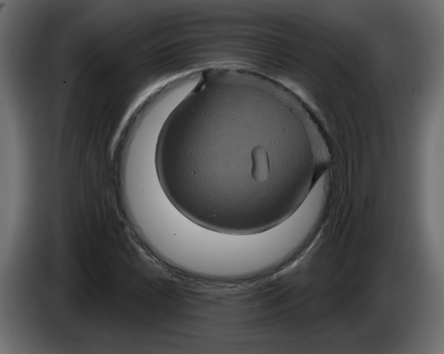 X0000083571022200703021741