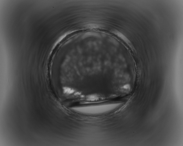 X0000083571023200703021741
