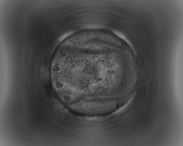 X0000083571025200703021741