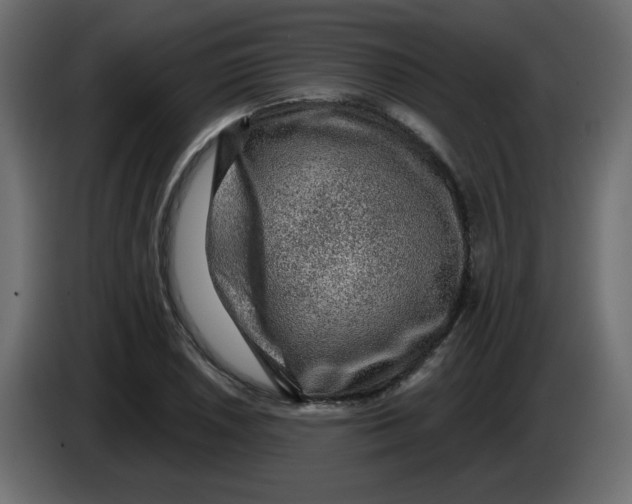X0000083571026200703021741