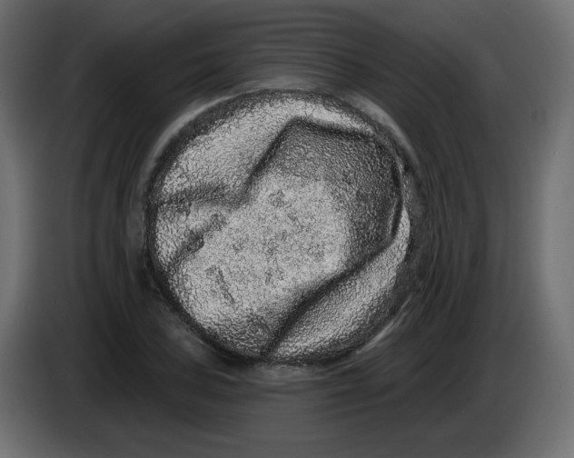 X0000083571027200703021741