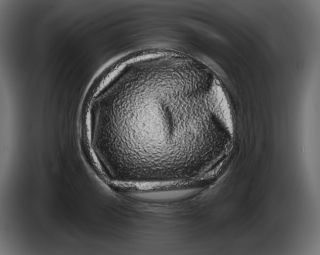X0000083571028200703021741
