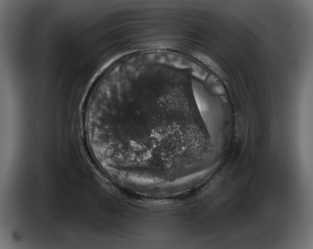 X0000083571031200703021741