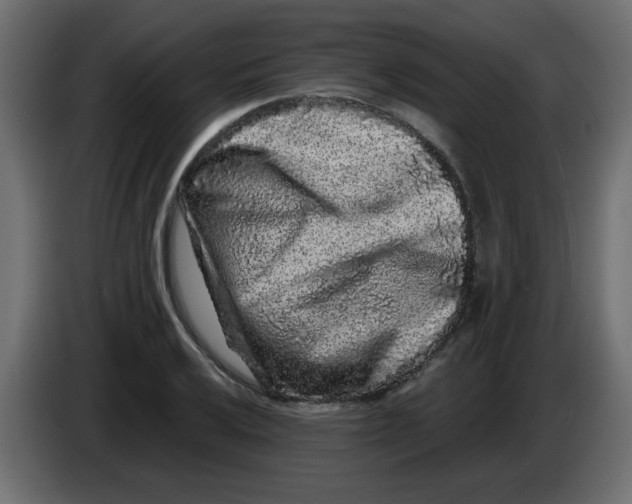 X0000083571032200703021741