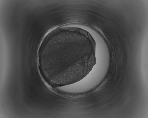 X0000083571034200703021741