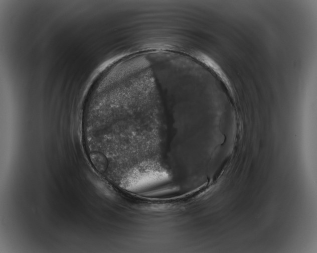 X0000083571035200703021741