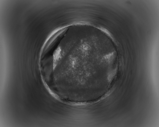 X0000083571038200703021741