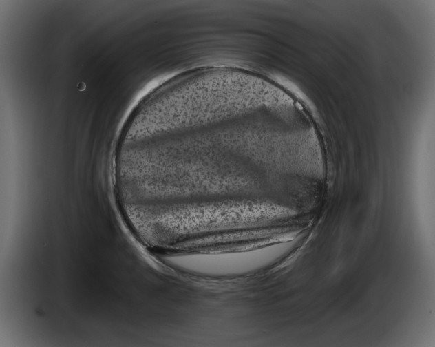X0000083571040200703021741