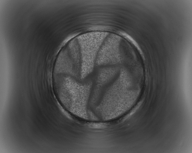 X0000083571041200703021741