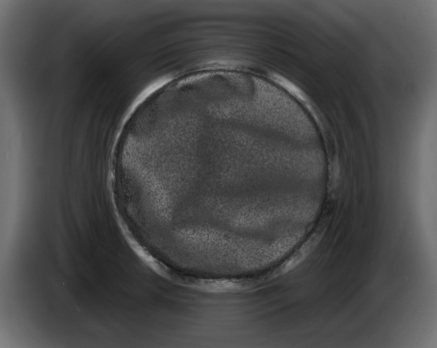 X0000083571042200703021741