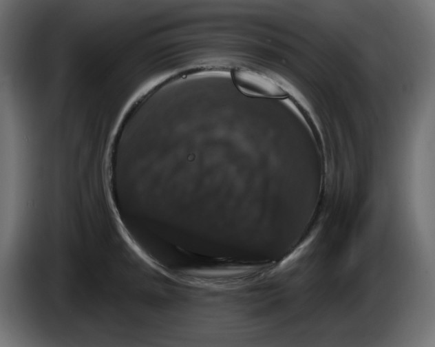 X0000083571045200703021741