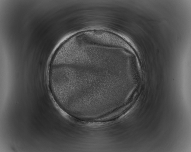 X0000083571046200703021741
